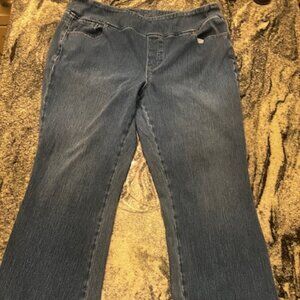 Belle by Kim‎ Gravel denim jeans Women's size 20 "Believe in Your Own Beauty"